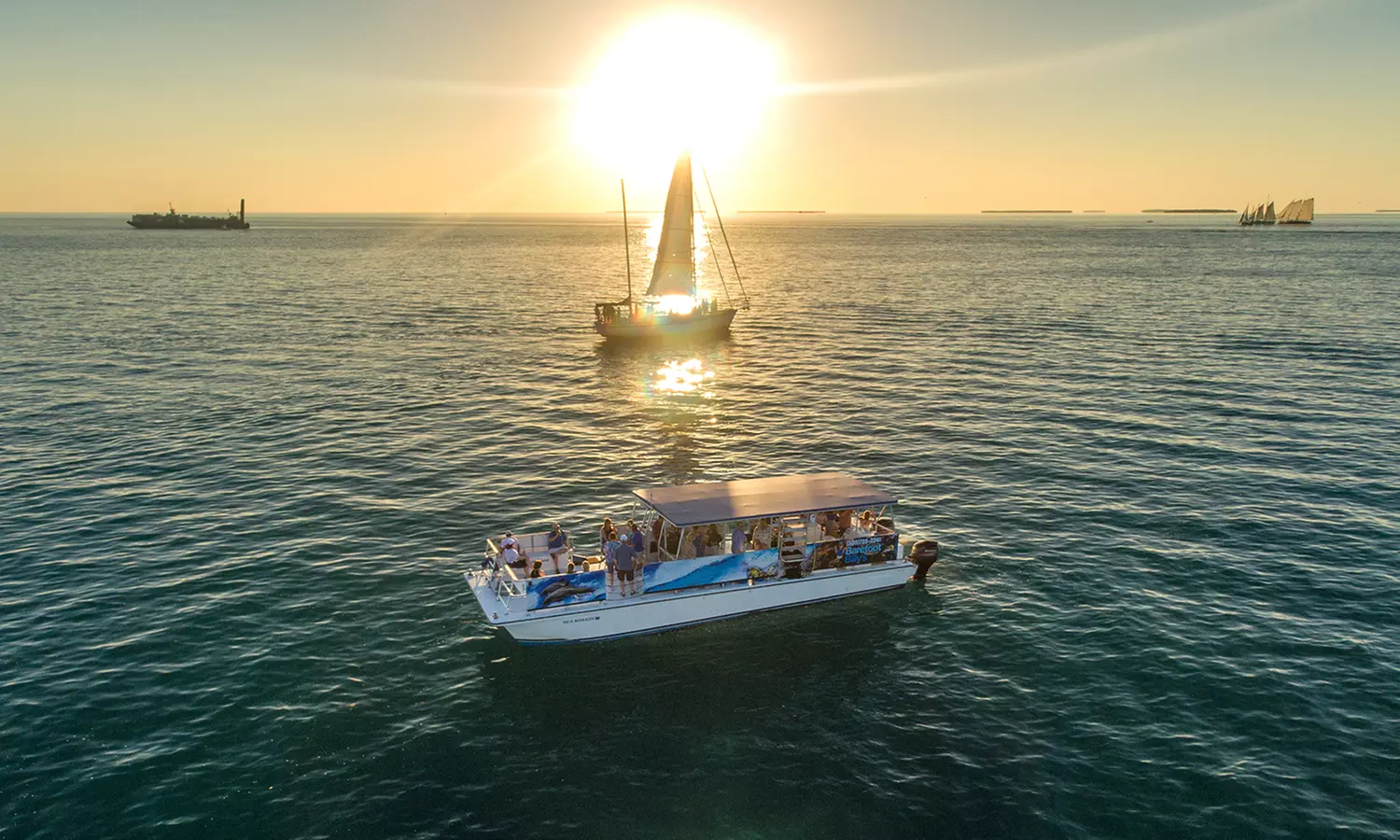 Key West Dolphin Watch & Snorkel Tour