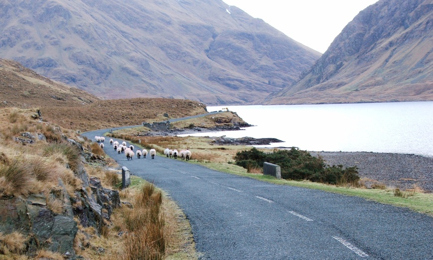 Image 7: Connemara: Bedroom Suite with Breakfast, 2-Course Dinner& Spa Discount