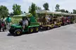 Admission for 2, 3, or 4 Guests to Safari Niagara  (Up to 31% Off) - Second Medium