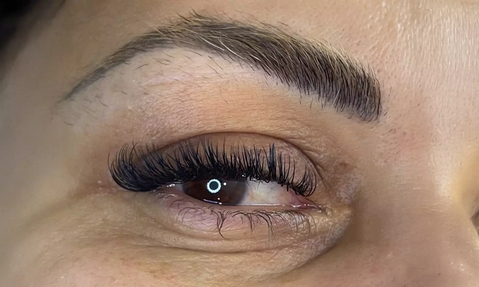 Classic or Volume Full Set of Eyelash Extensions with One Touch-Up