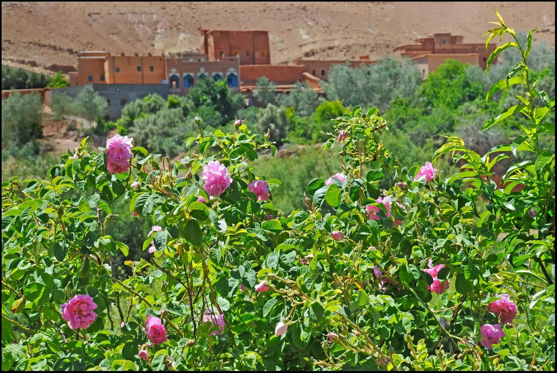 ✈ Moroccan Adventure: Road Trip with Flights, Car & Stay