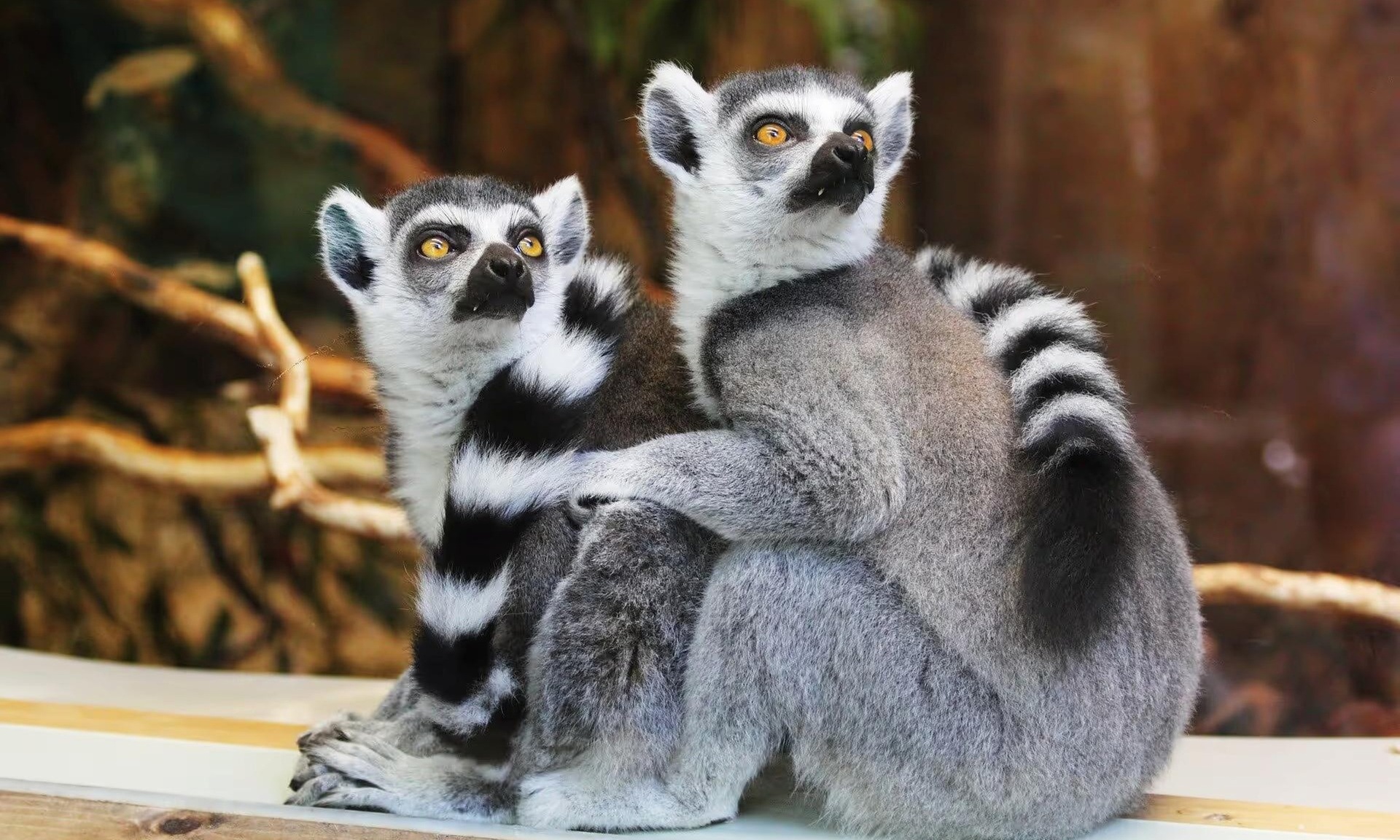 GetOutPass Ohio with Admission to 55+ Iconic Attractions