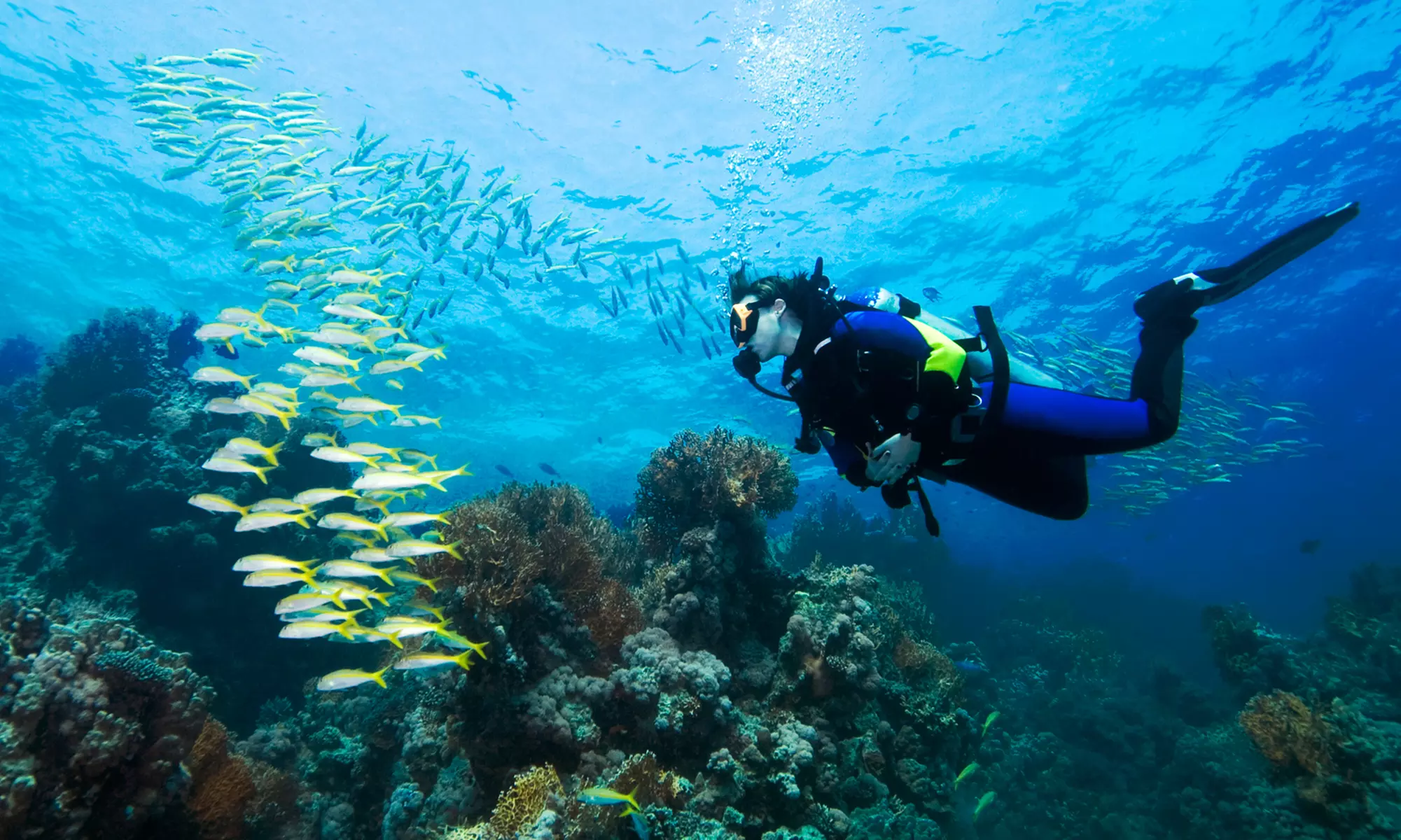 Guided Scuba Diving Tour for One Beginner from Try Scuba Diving (Up to 36% Off) - Primary Image