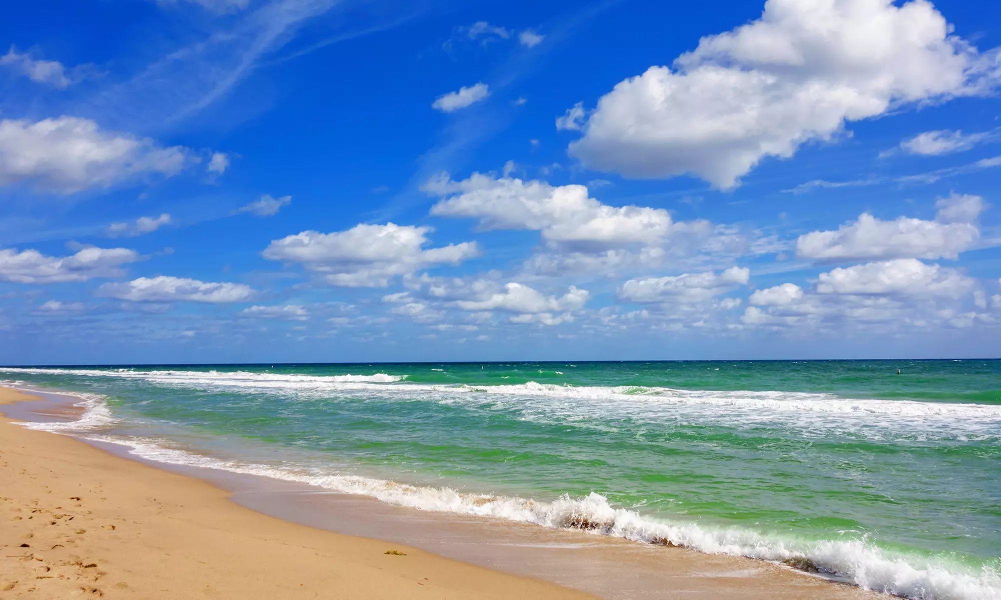 Stay at Hotel Astor in Miami Beach, FL. Dates into October. - Primary Image