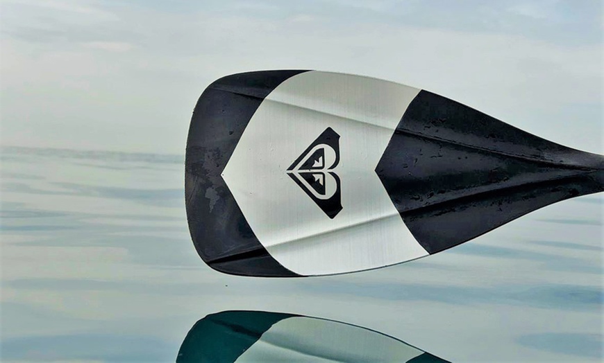 Image 7: Alquiler de tablas de paddle surf durante 1 hora para hasta 4 personas