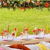 Image 7: Picnic Dining Experience – Perfect for 2, 3, 4, or 5 Guests
