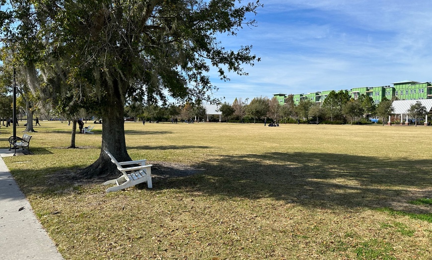 Image 4: Electric Bike & Trike Rentals - Explore East Lake Toho