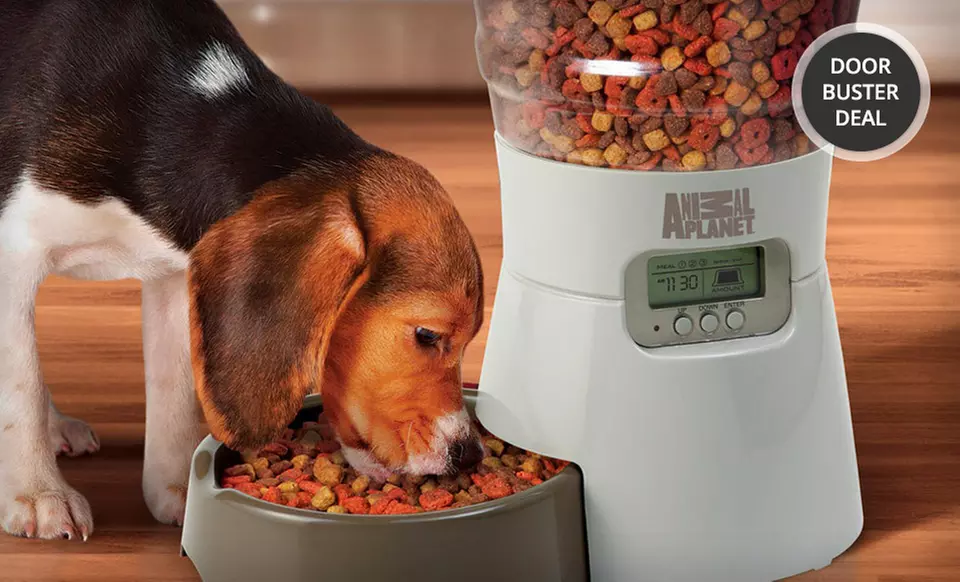 Animal Planet Automatic Pet Feeder. Free Returns. - Primary Image