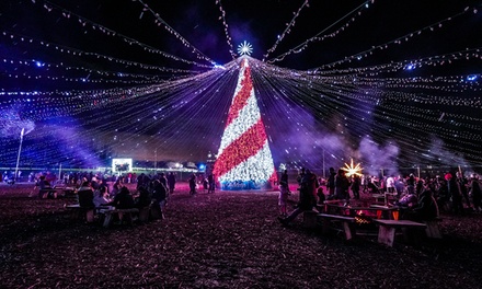 Youth General Admission& Penguin Plunge 8-lane Snow-Tubing Ride - Valid Any Day - Winter City Lights