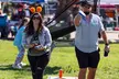 BTX Brewfest 2025 – Craft Beer, Live Music & Local Flavor w/ General Admission for 2-4 People (Up to 42% Off) - Second Medium
