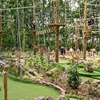 Image 1: Aerial Assault Course and Zip line for One, Two, or Four People 
