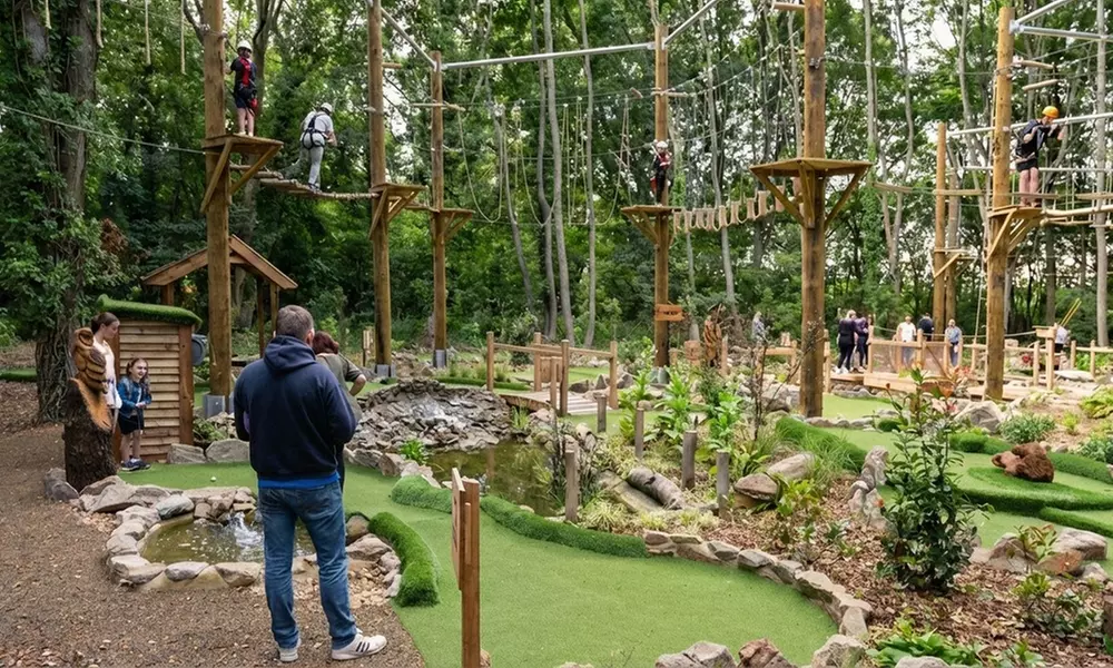 Aerial Assault Course and Zip line for One, Two, or Four People