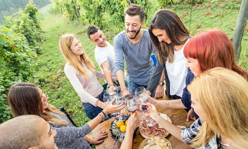 Image 2: Winery Bus Tour California – Full-Day Experience