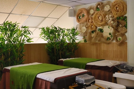Basic Facial - T3 Beauty Care