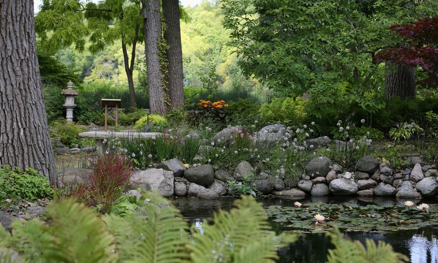 Image 10: Explore 20 Acres of Beauty & Fun at Rotary Botanical Gardens
