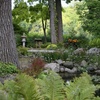 Image 10: Explote 20 Acres of Vibrant Gardens at Rotary Botanical Gardens