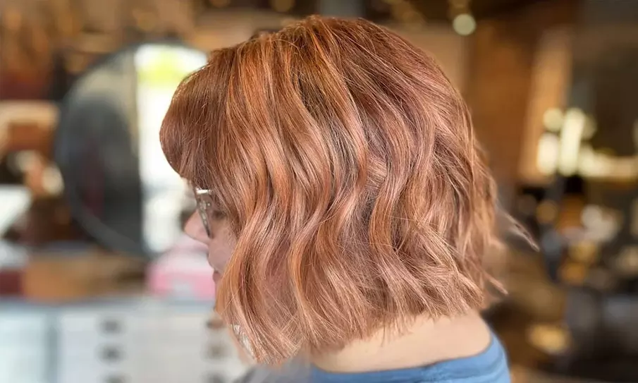 Haircut & Deep Condition w/Optional Scalp Massage or Brazilian Blowout