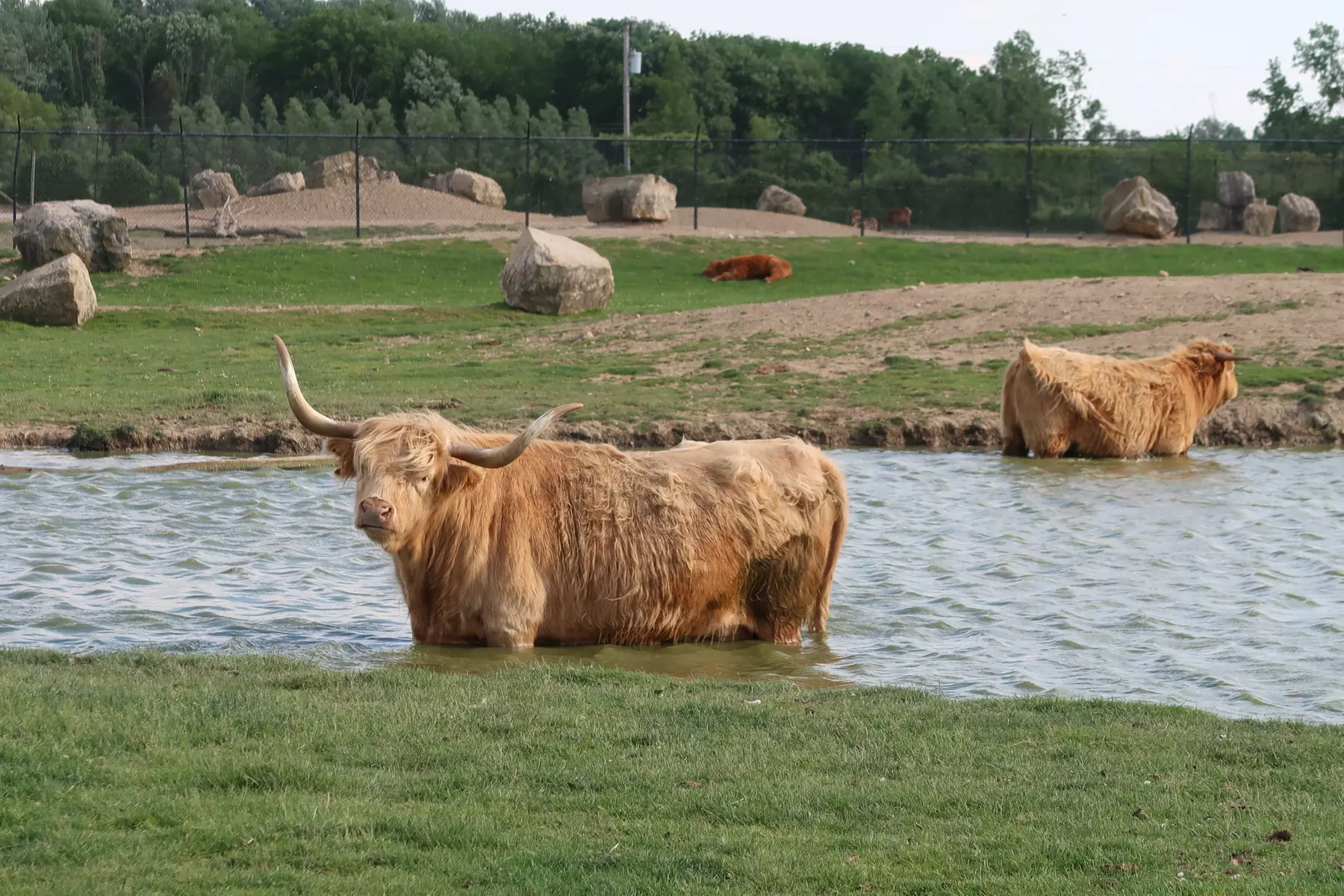 Up to 21% Off Admission at African Safari Wildlife Park - Ohio