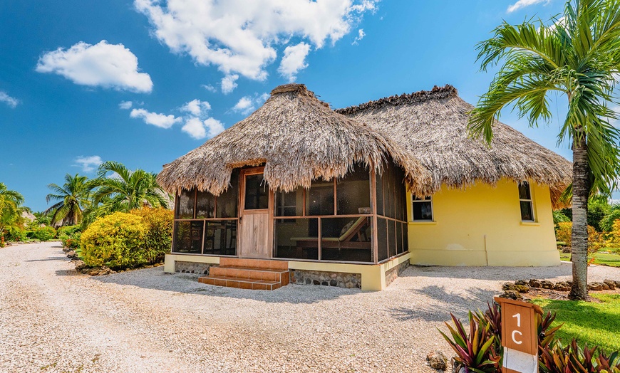 Image 5: All-Inclusive Resort with Private Marine Sanctuary Near Mayan Ruins
