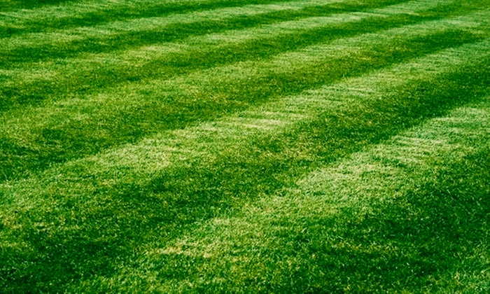 Transform Your Lawn with Expert Mowing and Edging for Half or One Acre