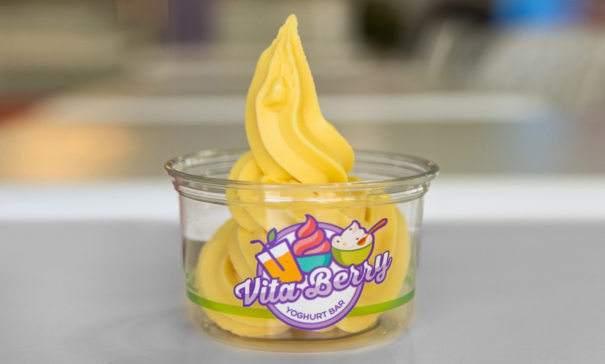 Image 5: Up to 30% Off on Frozen Yogurt (Bakery & Dessert Parlour) at Vitaberry