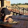 Image 10: 8-Day Yoga & Safari Retreat