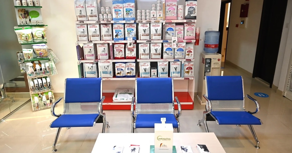 Professional Pet Grooming For Cats, Medium Or Large Dogs Professional Pet Grooming For Cats, Medium Or Large Dogs