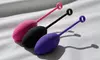 Wireless USB Rechargable Bullet Egg Vibrator G-Spot Dildo Adult Sex Toys