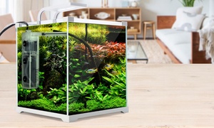 Glass Aquarium Fish Tank