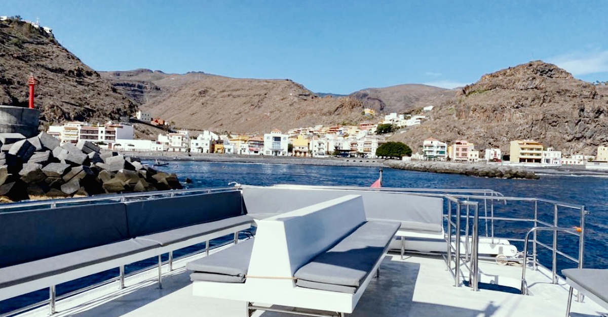 Excursión en barco para avistar ballenas y delfines en Tenerife