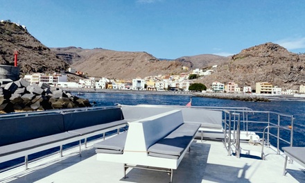 Para 1 adulto: excursión de 4 horas en barco de época para avistar ballenas y delfines con comida y bebida - Tina Excursiones - La Gomera