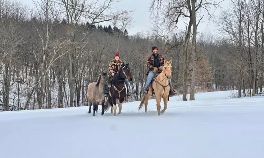 Horseback Riding Adventures on Scenic Trails