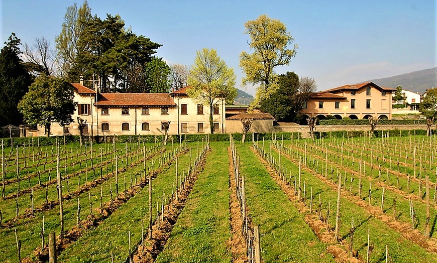 Image 14: Prezzi Ribassati - Lago d'Iseo: appartamento, colazione