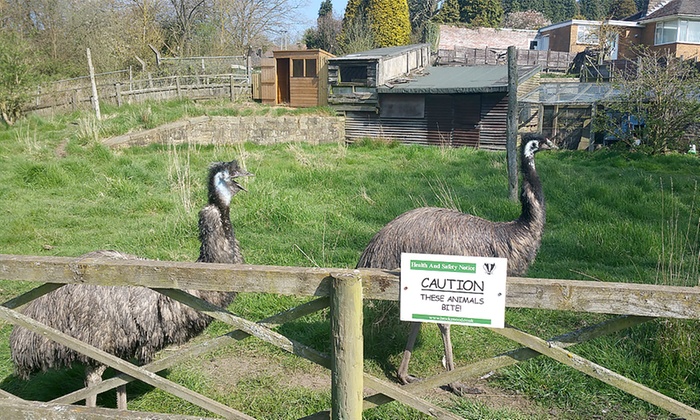 Brockswood Animal Sanctuary in - Dudley | Groupon