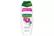 Special Beauty Box Palmolive, 3 shampoo, 6 bagnoschiuma e 2 saponi - Image 3