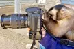 Immersive Animal Encounter, Private VIP Experience, or Wildlife Educator for a Day: Animal Tracks (Up to 25% Off) - Second Medium