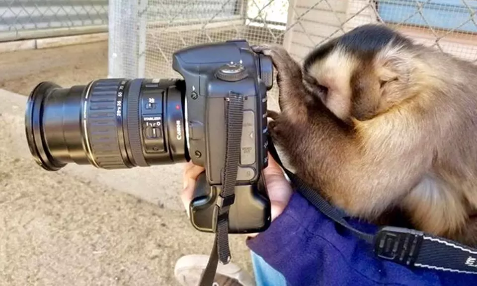 Up to 25% Off Immersive Animal Encounters at Animal Tracks