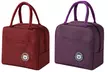 Up to Four Insulated Lunch Bags for Work, School and Travel - Second Medium