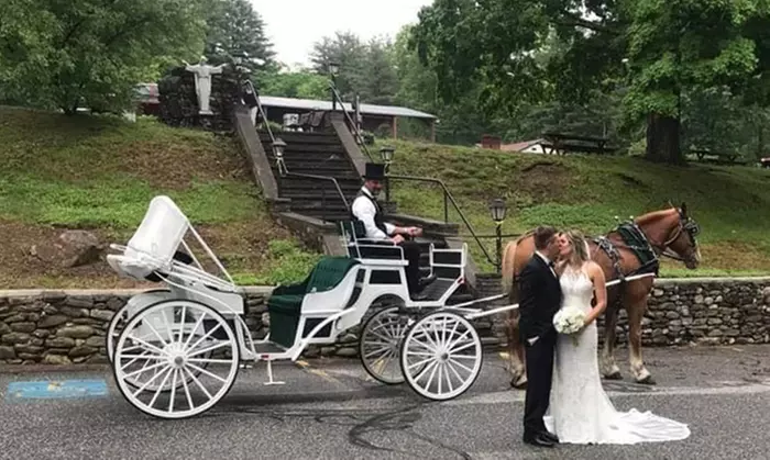Magical and Scenic Horse-Drawn and Wagon Rides For All Ages