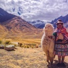 Image 8: ✈ 5, 7 or 10-Day Tour of Peru w/ Hotels & Air from Kaypi Peru Tours