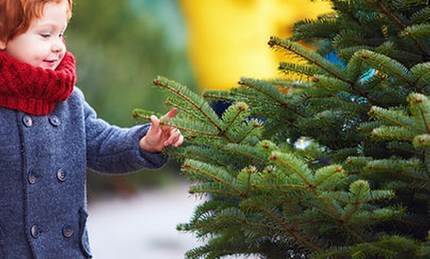 Image 1: Dave's Country Christmas All Inclusive Package – Holiday Cheer