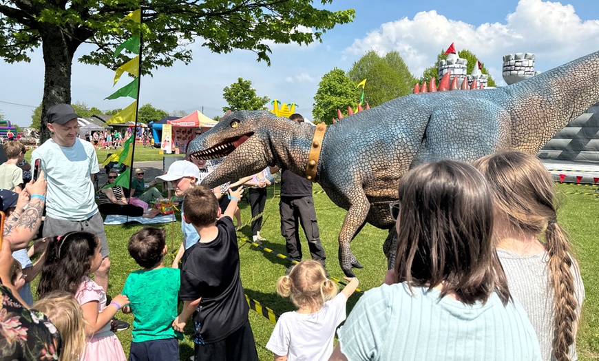 Image 7: Mega Fun Family Fest  | Unlimited Inflatable Fun | 11 May