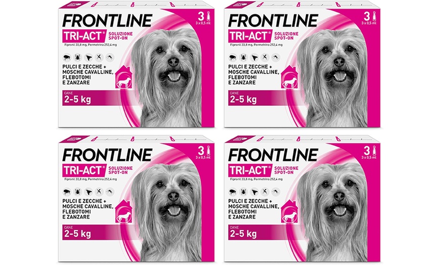 Image 26: Fino a 12 pipette Frontline Tri-Act® Spot-on per cani