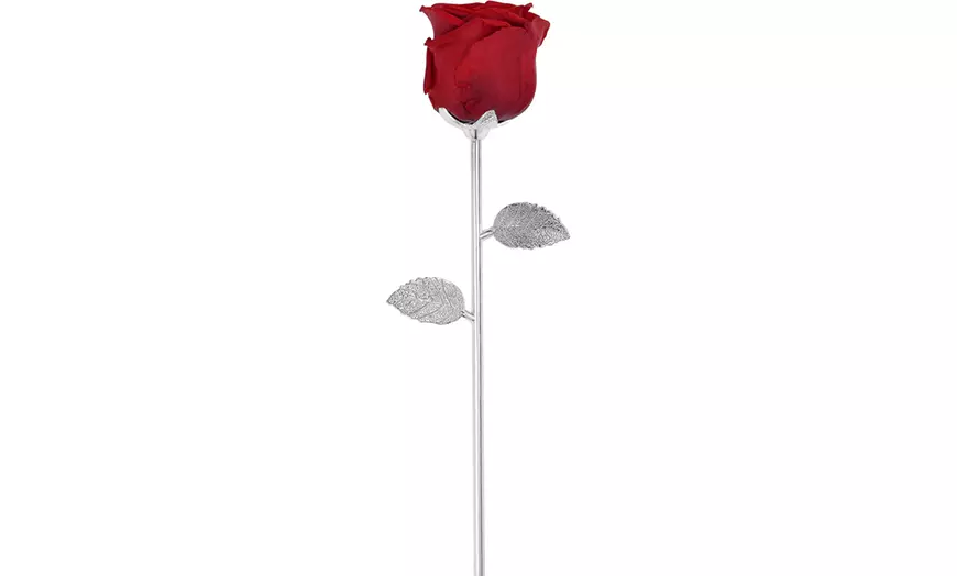 Image 3: Rosa eterna natural sobre un tallo de metal SC Crystal