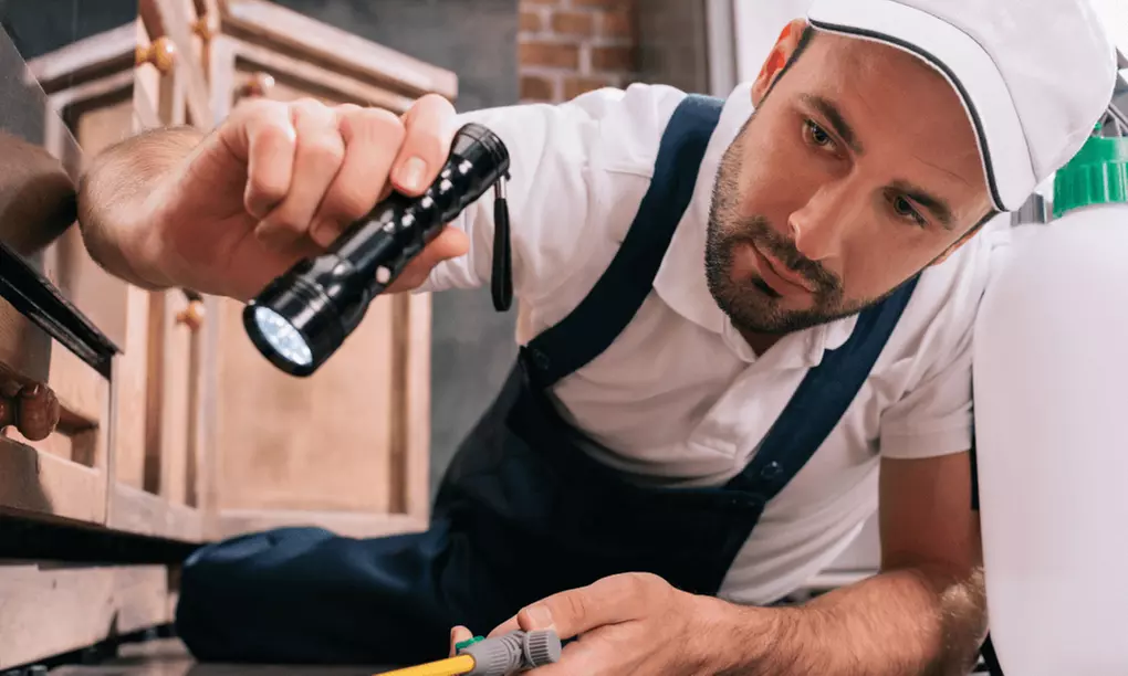 End of Lease Pest, Targeted Rodent Control / Full Pest Control Package