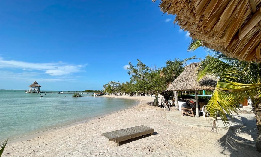 Image 13: All-Inclusive Resort with Private Marine Sanctuary Near Mayan Ruins

