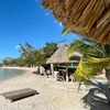 Image 13: All-Inclusive Resort with Private Marine Sanctuary Near Mayan Ruins