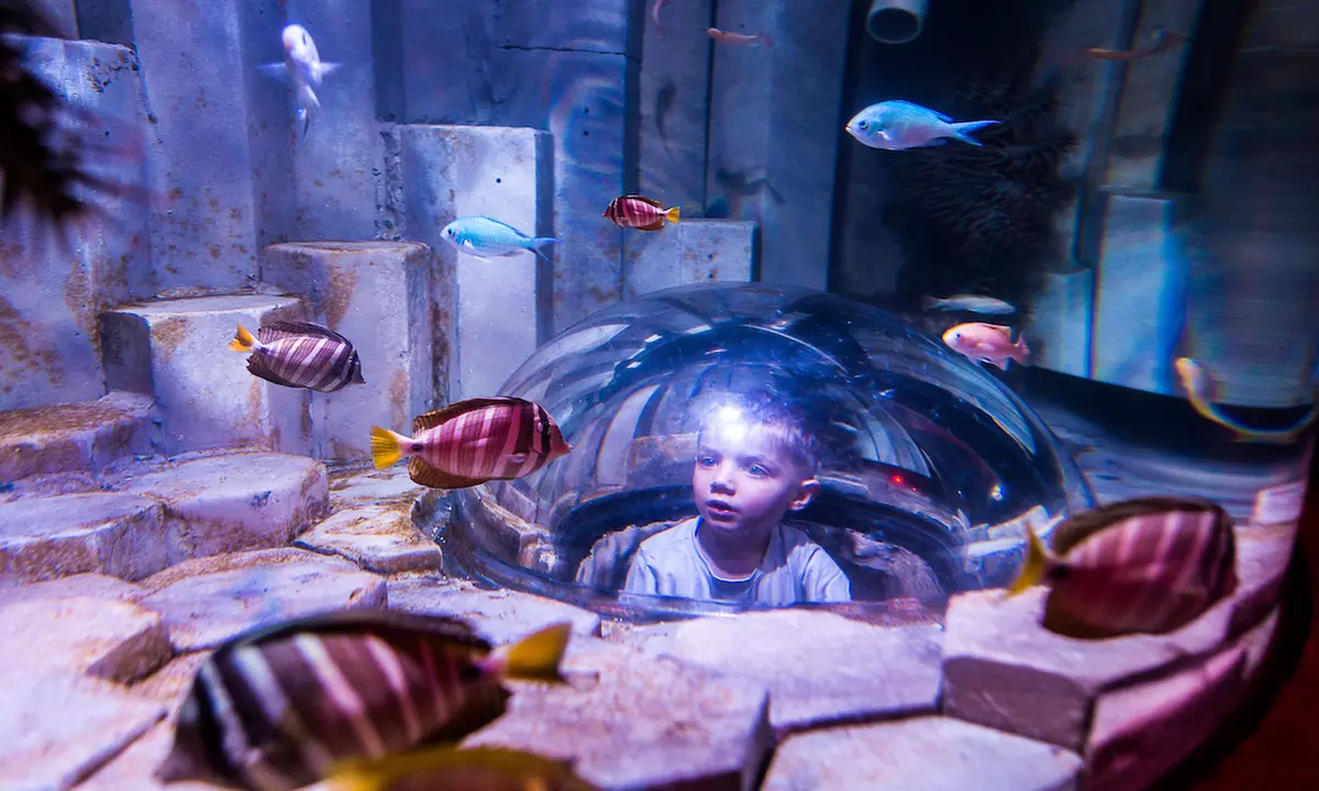 Melbourne Big Ticket: Multi- Attraction Pass for Adults & Kids