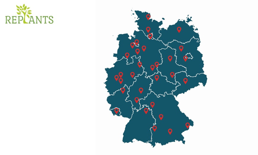 Image 3: Aufforstungspaket mit personalisierter Waldurkunde bei Replants