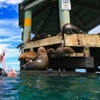 Image 3: 1.5-Hour Wildlife Adventure Cruise or 2-Hour Snorkel with Seals
